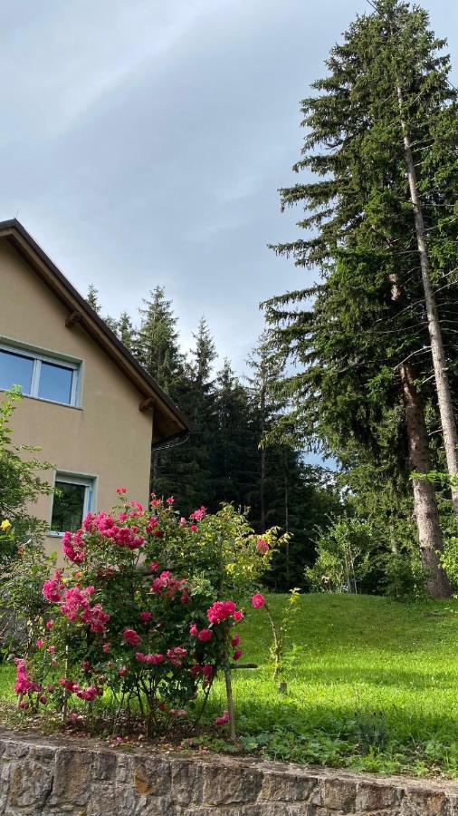 Apartmaji Velikonja Ajdovščina Eksteriør bilde
